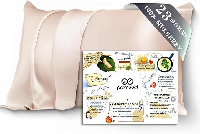 PROMEED 100% Mulberry Silk Toddler Pillowcase 13x18, Both Sides 23 Momme Grade 6A+ Silk Pillow Case Travel Size with Laundry Bag (Toddler/Travel-13 x18, Champagne)