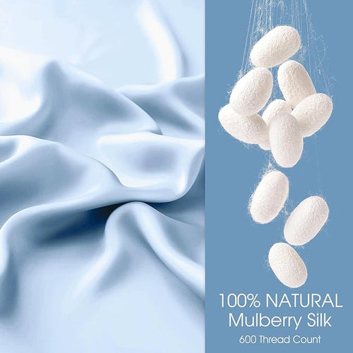 100% Silk Pillow Cases 2 Pack Standard Size Mulberry Silk Pillowcase for Hair and Skin Set of 2 Highest Grade 6A Silk Soft Breathable Cooling with Hidden Zipper, Sky Blue