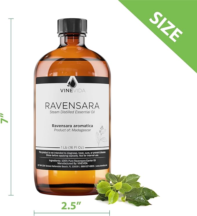 VINEVIDA Ravensara Essential Oil 16 oz - Undiluted Ravensara Oil 16 oz - Ravensara Candle Oil Scent - DIY Candle Scents for Candlemaking - Bulk Essential Oil for Soap Making Safe for Skin