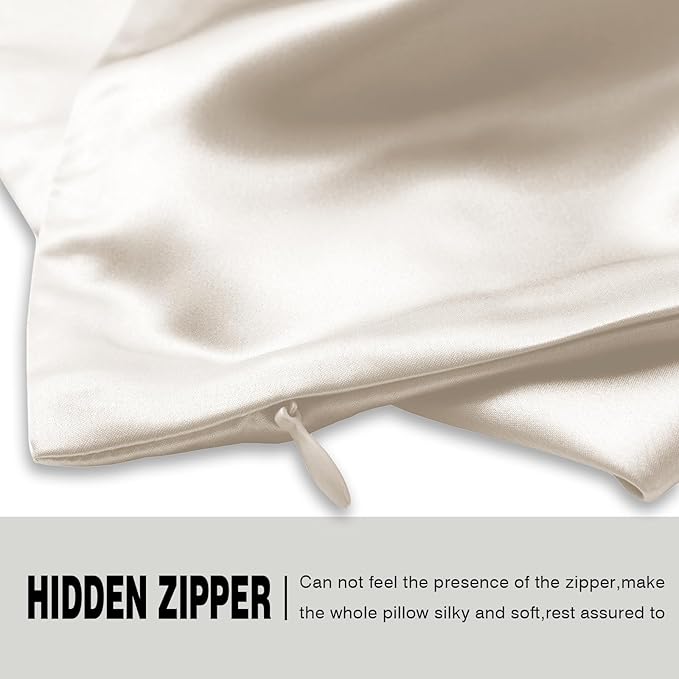 Silk Pillow Cases 2 Pack Soft Breathable and Sliky Queen Size Pillow Cases Set of 2,Natural Mulberry Satin Silk Pillowcase with Hidden Zipper for Hair and Skin (Beige,20"X 30",2pcs)