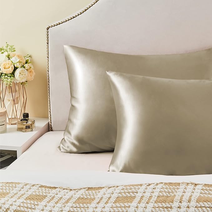 BEDELITE Satin Pillowcase with Zipper, Taupe Pillow Cases Queen Size Set of 2, Super Soft and Cooling Similar to Silk Pillow Cases, Gift for Women Men(20x30 Inches)