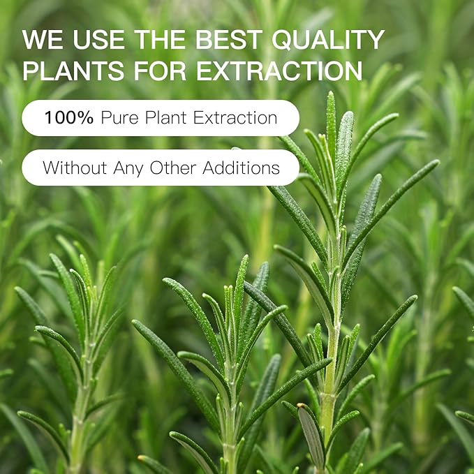 Rosemary Essential Oil Blend, Rosemary Oil, Can be Used for, Hair, Skin, Nails, Aromatherapy Oil& Diffuser Essential Oils- 10ML