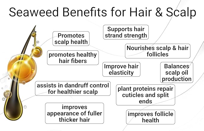 Saltie Daily Hair Detangle Conditioner I Nourish with Sea Weed, Kelp & Algae I Lightweight, detangle, repair split ends, adds shine for radiant hair. (8.5 fl. Oz /250ml)