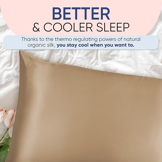 Blissy Silk Pillowcase - 100% Pure Mulberry Silk - 22 Momme 6A High-Grade Fibers - Silk Pillow Cover for Hair & Skin - Regular, Queen & King (Taupe, Standard)