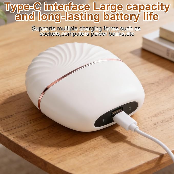 Mini Straightener, Rechargeable Portable Mini Hair Straightener Brush, Fast Heating Hot Comb 3-Speed Temperature Control with Anti Scald Shell and Built-in Mirror for Home Travel (White)