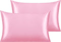 NTBAY 2 Pack Satin Queen Pillowcases for Hair and Skin, Luxurious and Silky Pillow Cases with Envelope Closure, 20x30 Inches, Pink