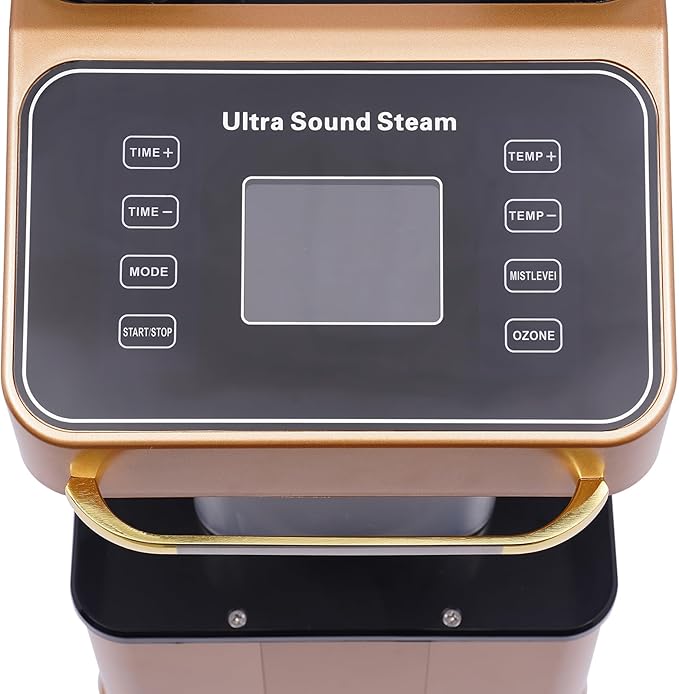 Nano Hair Steamer with 2 Vaporizing Caps, Standing Professional Micro Mist Hair Processor with Rolling Wheels, 650W 110V Nano Hair Steamer Machine, Multifunctional Hair Steamer for Hair Care (Gold)