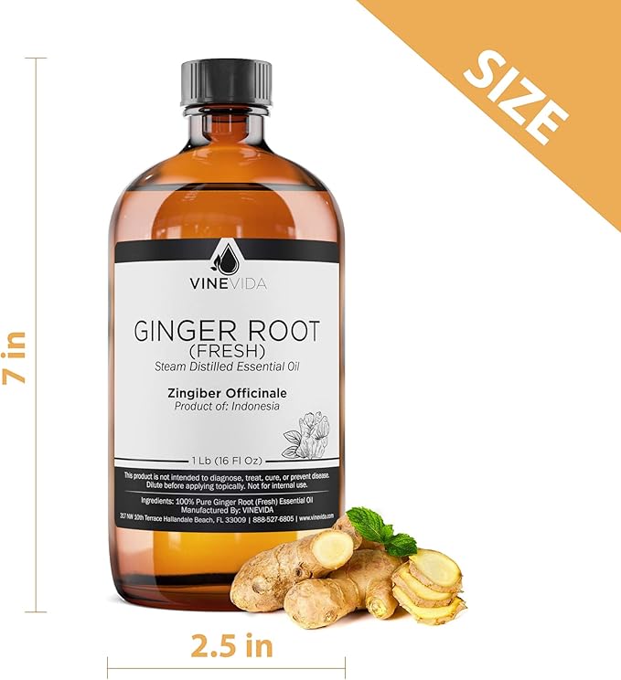 VINEVIDA Fresh Ginger Root Essential Oil 16 oz - Undiluted Ginger Root Oil 16 oz - Ginger Root Candle Oil Scent - DIY Candle Scents for Candlemaking - Bulk Essential Oil for Soap Making Safe for Skin