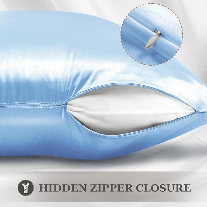 Adubor Mulberry Silk Pillowcase for Hair and Skin with Hidden Zipper, Both Side 23 Momme Silk, 900 Thread Count (20x30inch, Queen Size, Sky Blue, 1pc)