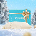 Breescape Cooling Pillow Cases Standard/Queen Size - BlendTek™ Dry & Cool Technology for Hot Sleepers and Night Sweats, 2 Pack Soft & Smooth Pillowcases for Hair & Skin Care, 20" x 30", Ivory