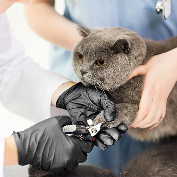 Disposable Gloves Medium, Nitrile and Vinyl Blend Latex Free Gloves, 4 Mil,1000 Pc. Food Grade Glove for Cleaning, Food Prep, Hair Dye, Tattoo, Black