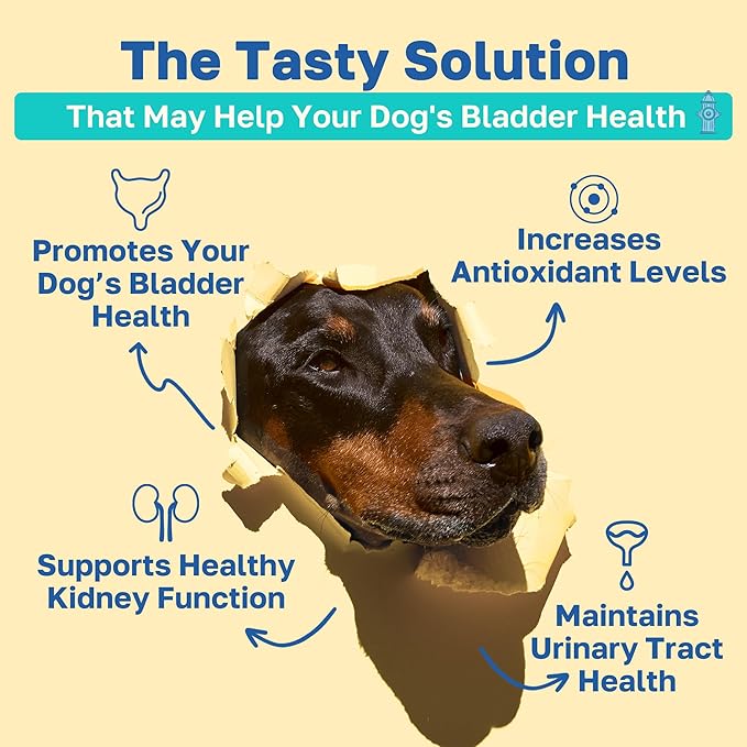 Happy Paws Bladder Supplement for Dogs, Urinary Support Soft Chews for All Breeds & Ages, Kidney Wellness Support with Cranberry & Antioxidants, Vegan Chicken Flavor, (100 Chews)