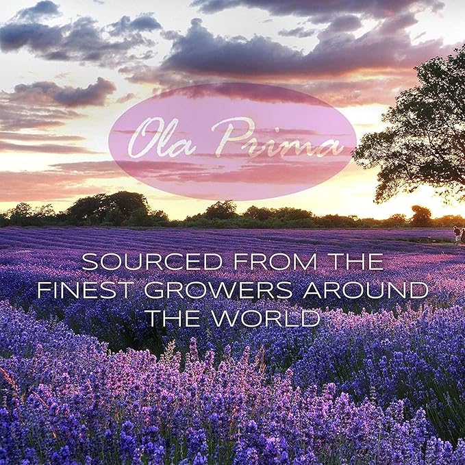 Ola Prima 4 oz Lavender Essential Oil for Diffuser, Soap, Candle Making, and Aromatherapy