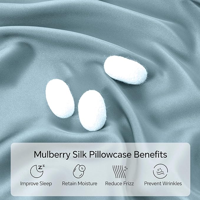 INFIIXSO Silk Pillow Cases 2 Pack Standard Size, Ultra Smooth & Soft Mulberry Silk Pillow Case for Hair and Skin, Breathable Cooling Silk Pillowcase with Hidden Zipper (Airy Blue, 20x26 Inches)