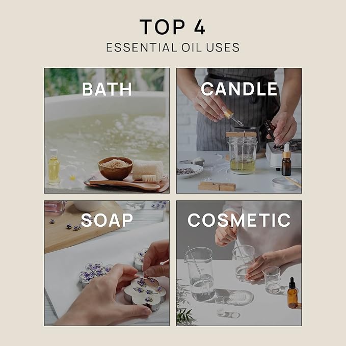 VINEVIDA Ravensara Essential Oil 32 oz - Undiluted Oil for DIY Candles & Soap Making