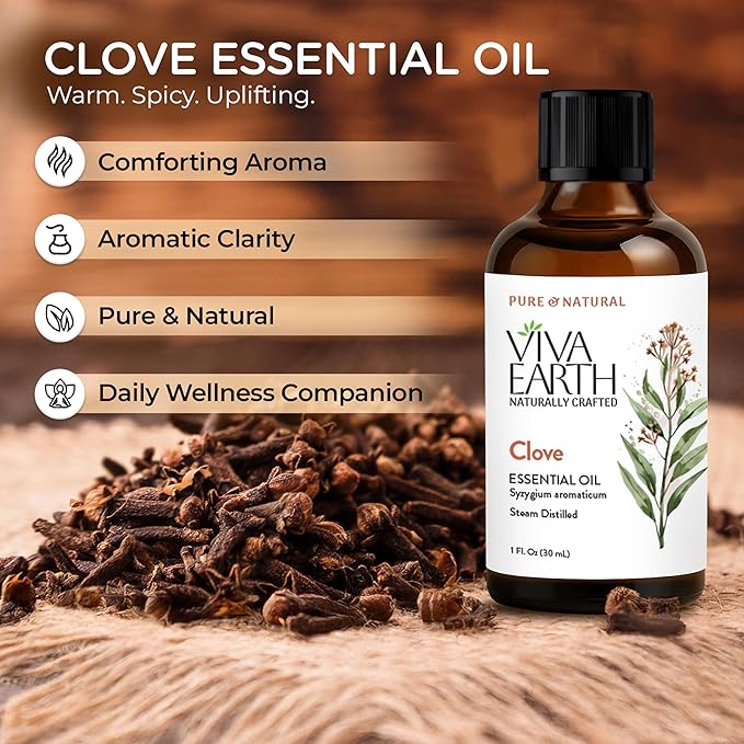 Clove Essential Oil – Pure and Natural Clove Aroma for Diffusers, Aromatherapy, Body Oils, DIY Crafts, Soap and Candle Making, and Home Scent Projects – with Dropper, 1 Fl. oz