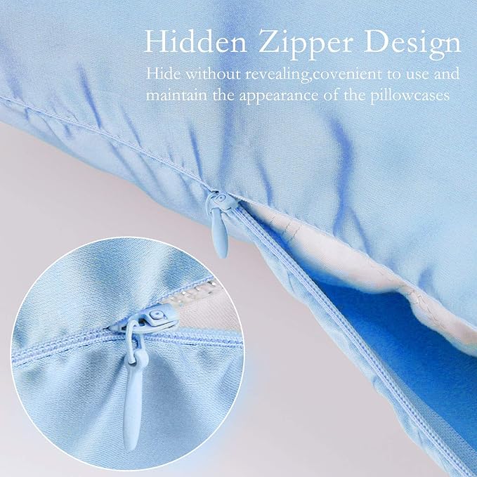 Silk Pillowcase for Hair and Skin 2 Pack 100% Mulberry Silk Bed Pillowcase Hypoallergenic Soft Breathable Both Sides Silk Pillow Case with Hidden Zipper, Pillow Cases (Standard, Blue)