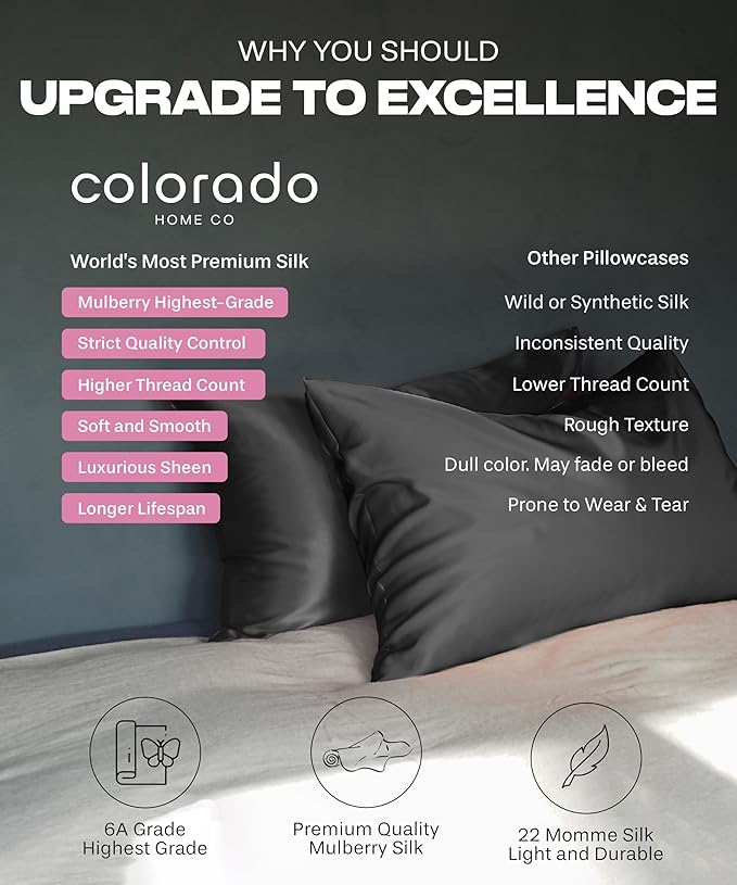 SUNDAYSILKS™ | Silk Pillow Cases 2 PACK | 22 Momme Mulberry Silk Pillowcase Set of 2 | All Sides 100% Pure Silk Slip Pillowcases Bliss for Couples with Zipper, 6A Standard Queen, King Size [Off White]