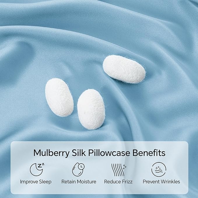INFIIXSO Mulberry Silk Pillowcase for Hair and Skin, Silk Pillow Cases Queen Size with Hidden Zipper 20x30 Inches, Super Smooth and Soft Cooling Pillow Cases for Hot Sleepers(Light Blue, 1 Pack)