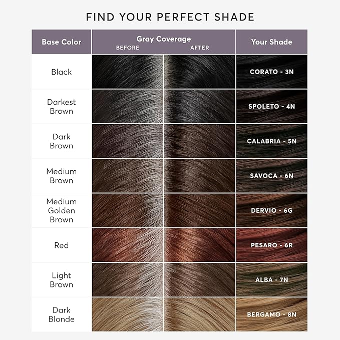 Madison Reed Root Perfection Permanent Root Touch Up, Black 3N Corato, 10 Minutes for 100% Gray Root Coverage, Ammonia-Free Hair Dye, Two Applications