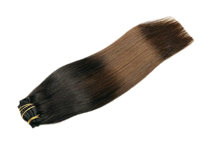 SURNEL Clip in Human Hair Extensions 14 Inch 6pcs 100g Omber Natural Black to Chocolate Brown Clip in Hair Extensions (#1BT4,14'')