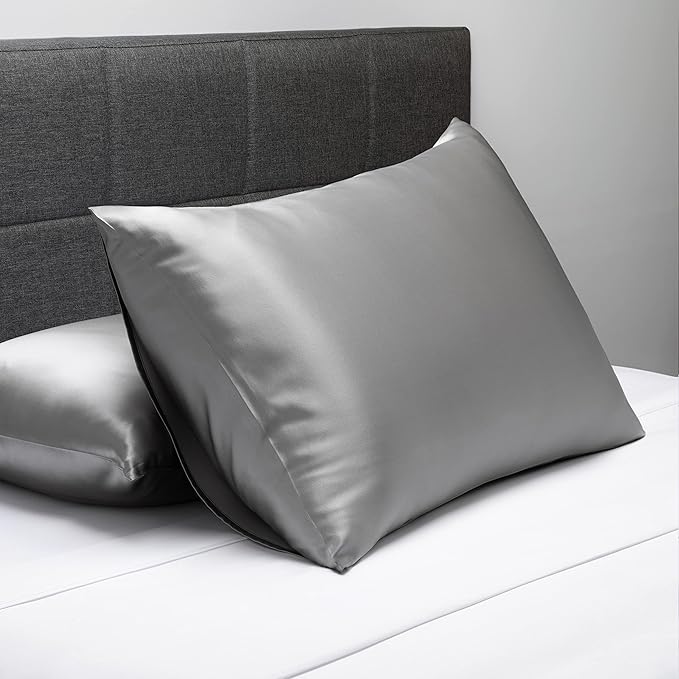 Fishers Finery 19mm 100% Pure Mulberry Silk Pillowcase, Quality Tested (Silver, S)