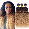 Ombre Human Hair Bundles 1B427 Kinky Curly Bundles 20 22 24 Inch Double Weft 3 Tone Brown and Honey Blonde Bundle Niegmeag Brazilian Virgin Remy Hair Extensions