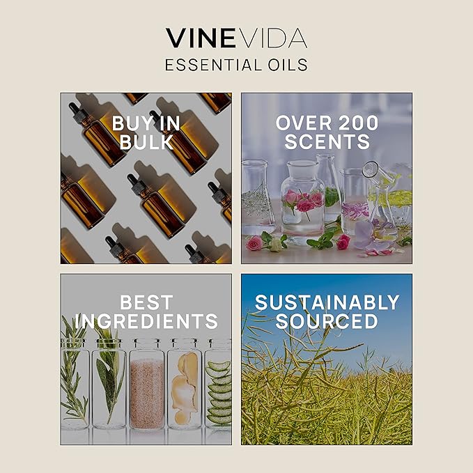 VINEVIDA Ravensara Essential Oil - Undiluted Ravensara Candle Oil Scent - DIY Candle Scents for Candlemaking - Skin-Safe 10 mL Essential Oil for Soap Making