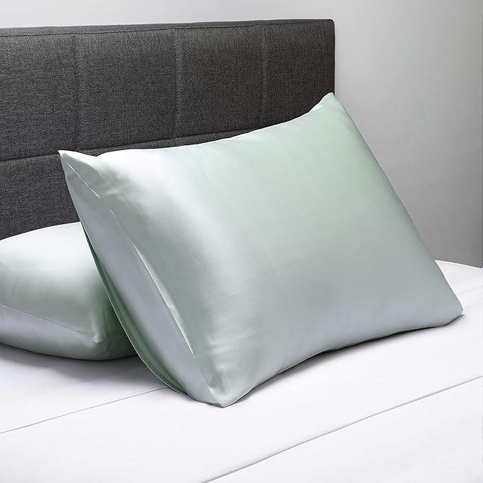 Fishers Finery 25mm 100% Pure Mulberry Silk Pillowcase (Light Green Queen)