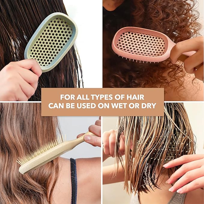 TADA Natural Beauty Hair Brush Detangler for Curly, Thick, Wavy, and Thin Hair - Ventilation Holes for Quick Drying and Styling, Detangler Brush for Women, Men, Kids (4 Colors) (2PK #2)